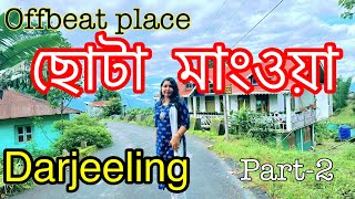 ছোটা মাংওয়া দার্জিলিং DARJEELING VILLAGE Chota MANGWA Travel Vlog #travel #travelvlog #darjeeling