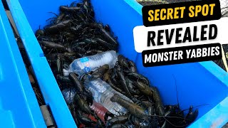 Monster Yabbies. Secret Spot Revealed