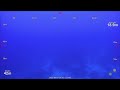 ROV SuBastian Dive 374 - Cairns Seamount, Australia - FK200802