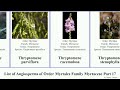 list of angiosperms of order myrtales family myrtaceae part 17 syzygium thryptomene verticordia