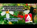 95. masa kuarantin. imbau video cara buat video dengan pocket production