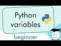 Python Variables | Simple Tutorial | #Shorts