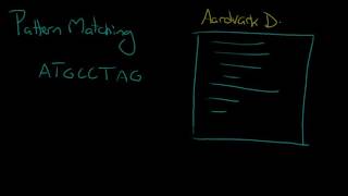 Python Programming Series (Algorithmic Thinking 2): Algorithms in computer science