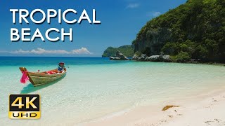 4K HDR Tropical Beach   Gentle Ocean Wave Sounds   Peaceful Wild Island   Relaxing Nature Video