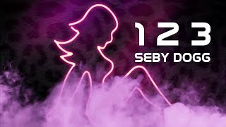 Sebi Tudora - 1 2 3 (Single Version) [Official Lyric Video]