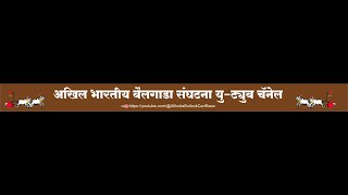 महाळूंगे पडवळ- मयूर शेठ बाबाजी टेमगिरे 96  बैलगाडा संघटना ११.28 मिलीपॉईंट घाटाचा राजा #बैलगाडाशर्यत