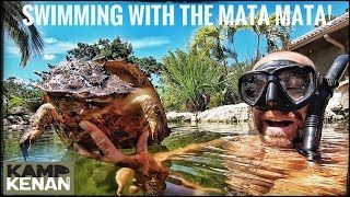 Swimming with a Mata Mata! (kamp kenan)