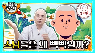 스님들은 왜 빡빡일까? - 끝판 맛수다