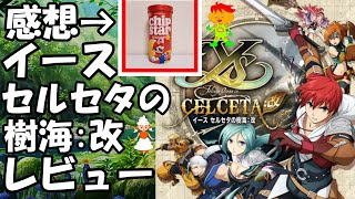 【イース セルセタの樹海:改 クリアレビュー】チップスター⁇ ○○点‼ ネタバレなし感想、評価。イースⅩノーディクスをクリアしたら本作はどう？