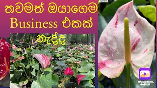 බලන්නම ඔනි video එකක්.පැකේජයක් ගන්න ගමන්ම0774786563