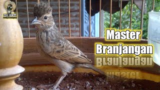 Playtube Pk Ultimate Video Sharing Website