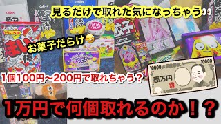 【クレーンゲーム】1万円で何個取れるのか！？初めての1万円企画！最高記録！？次の1万円企画はそれ越えられるのか？   #ufoキャッチャー  #1万円 #お菓子 #フィギュア #ぬいぐるみ