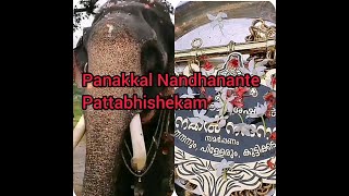 Panakkal Nandhanan  😍 | Pattabhishekam |