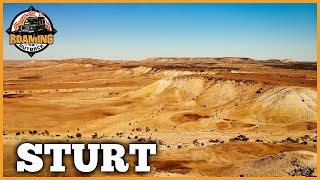 Sturt National Park 3/3 | Dune Wandering, Middle Road, Jump Ups