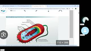 IG2 Biotecnology and genetic engineering