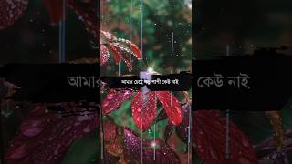 তওবা কিভাবে করবেন #মিজানুর_রহমান_আজহারী #ইসলামিক #আমল_ও_দোয়া #subhanallah #shorts #islamic