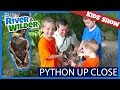 BOYS HOLD BALL PYTHON ON ZOO ADVENTURE | KIDS TV