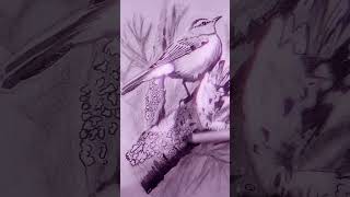 😱 Sketching#Bird Sketch#🕊️Amazing art#animal#Animals#Art Education#Art for kids#Art for kids hub.