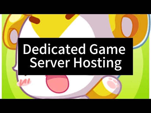 The Ultimate Guide to Dedicated Game Server Hosting with Raksmart