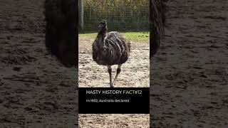 Australia Vs. Emu's: Who won?