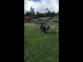 bully gets good shot on swedish redneck