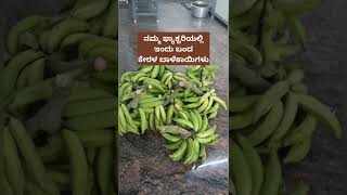 ಶಿಶುಗಳಿಗೆ ಆರೋಗ್ಯವಾದ ಕೇರಳ ಬಾಳೆಕಾಯಿ ಸರಿ