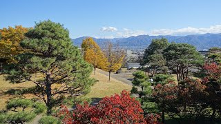 【Full HD】甲府城（舞鶴城公園）の紅葉｜Autumn leaves of Kofu Castle in Kofu City Yamanashi Prefecture