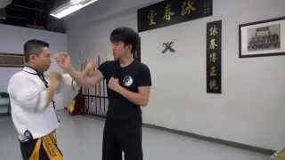 Wing Chun basic understanding of Pak, Lap, Tan Sao - Structure & Positioning