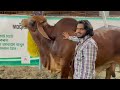 গরু বাদে অন্যান্য কুরবানীর পশু সাদিক এগ্রোতে qurbani 2022 sadeeq agro doggo sage