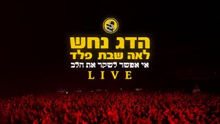 הדג נחש עם לאה שבת ופלד - אי אפשר לשקר את הלב - Hadag Nahash - Ei Efshar Leshaker Et Halev