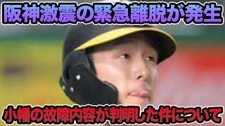 【一体何故こんな事に..】岡田監督が最悪の小幡緊急離脱を明言した件について.. 怒涛の野手完全入れ替えなど最新事情を徹底解説【阪神タイガース】