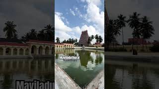 mayuranathar temple | mayiladuthurai#shortsfeed