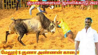 குமாரபாளையம் ஜல்லிக்கட்டில் மேலூர் குணா அண்ணன் காளை | Kumarapalayam Jallikattu 2022 | #jallikattu