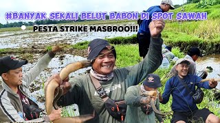 OMG 😱‼️TERNYATA SPOT SAWAH BANYAK BELUT BABON || MANCING BELUT DI SAWAH