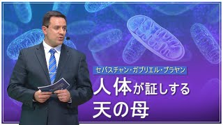 人体が証しする天の母 | 神様の教会