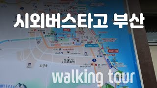 속초에서 부산까지 가는 버스가 있다 #동해국도🇰🇷#travel #국내여행