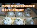 We shipped melons to California, USA. Japan Farming