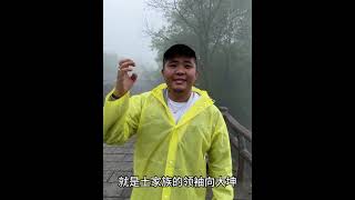 不到武陵源，枉来张家界，雨中游览更有趣#旅行