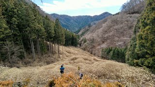 屋敷山ミツマタ群生地 を散歩する。