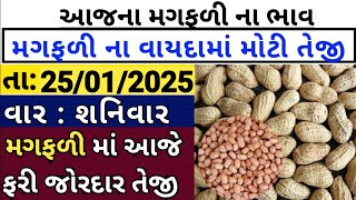 magfali na bhav  | 25-01-2025 l મગફળી ના ભાવ | jamnagar marketing yard and gondal marketing yard