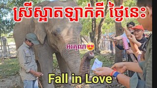 ស្រីស្អាតឡាក់គី មានហ្វែនច្រើនណាស់បងប្អូន