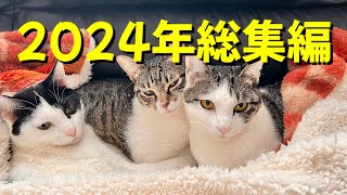 2024年総集編動画（一部著作権により音声ありません）