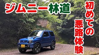 【ジムニー林道】初めての悪路体験 千葉で１番有名な林道🚙金谷元名線