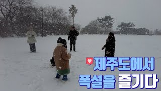 폭설이 아름다운 1월의 제주도-겨울제주(3)