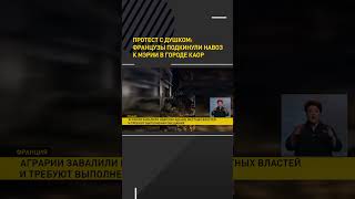 Протест с душком во Франции: фермеры подкинули навоз к мэрии в городе Каор #shorts #short