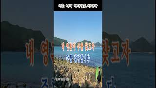 너는 너의 하나님을 바라라, #shorts, #alto, #복음송, #교회, #예배, #기도, #찬송, #찬양대, #성화, #선교, #작은 교회, #찬송가, #새찬송가