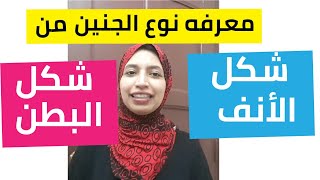 الفرق بين حمل الولد من حيث شكل الانف وشكل البطن