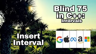 Leetcode Blind 75 C++: Insert Interval