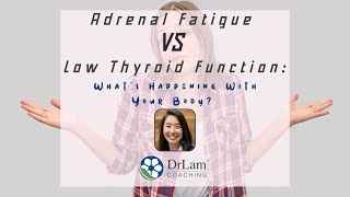 Adrenal Fatigue VS Low Thyroid Function: What’s Happening With Your Body?