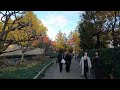 【日本庭園 紅葉】立川・昭和記念公園 2024年11月24日 紅葉狩り autumnvibes gh010037